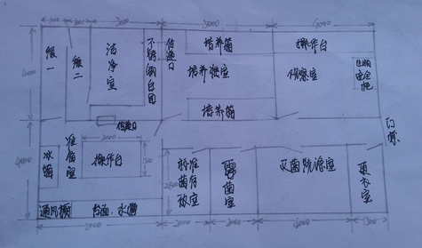 洁净实验室平面布局图